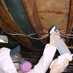 Mold remediation 2 - Click to enlarge